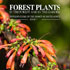 Forest plants book