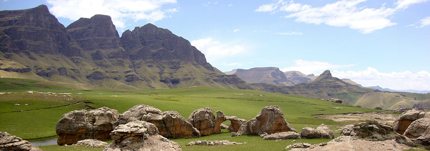 Elsa Pooley - botanical tours